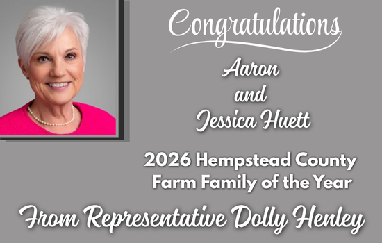 Dolly FF HC