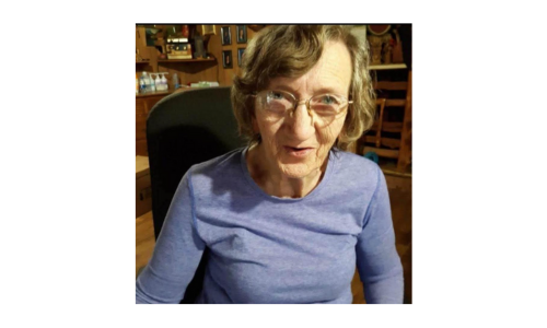 Shirley N. Lewis