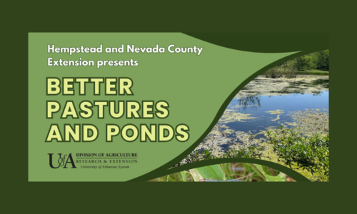 U of A Division of Agriculture Cooperative to Offer "Better Pastures and Ponds" Seminar