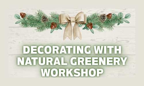 Hempstead County Master Gardeners Host Natural Greenery Decorating Workshop
