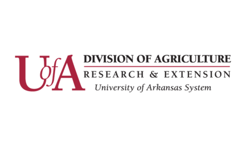 Updated Flu, RSV Vaccines now Available for Arkansans
