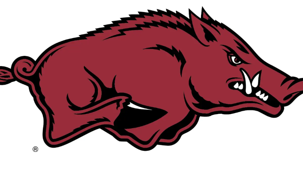 Arkansas Baseball Opens Lawrence Regional Play Friday vs. Missouri State