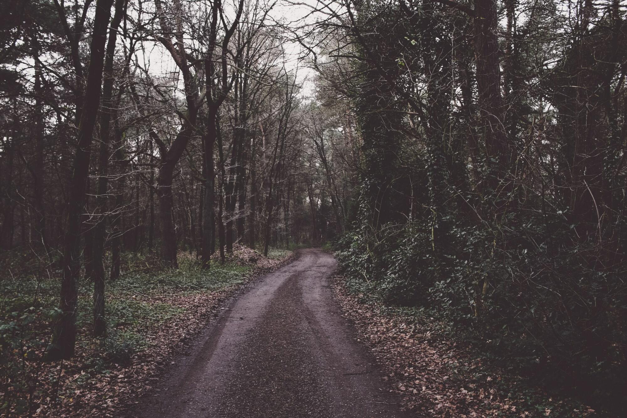 Mysterious History – The Fouke Monster