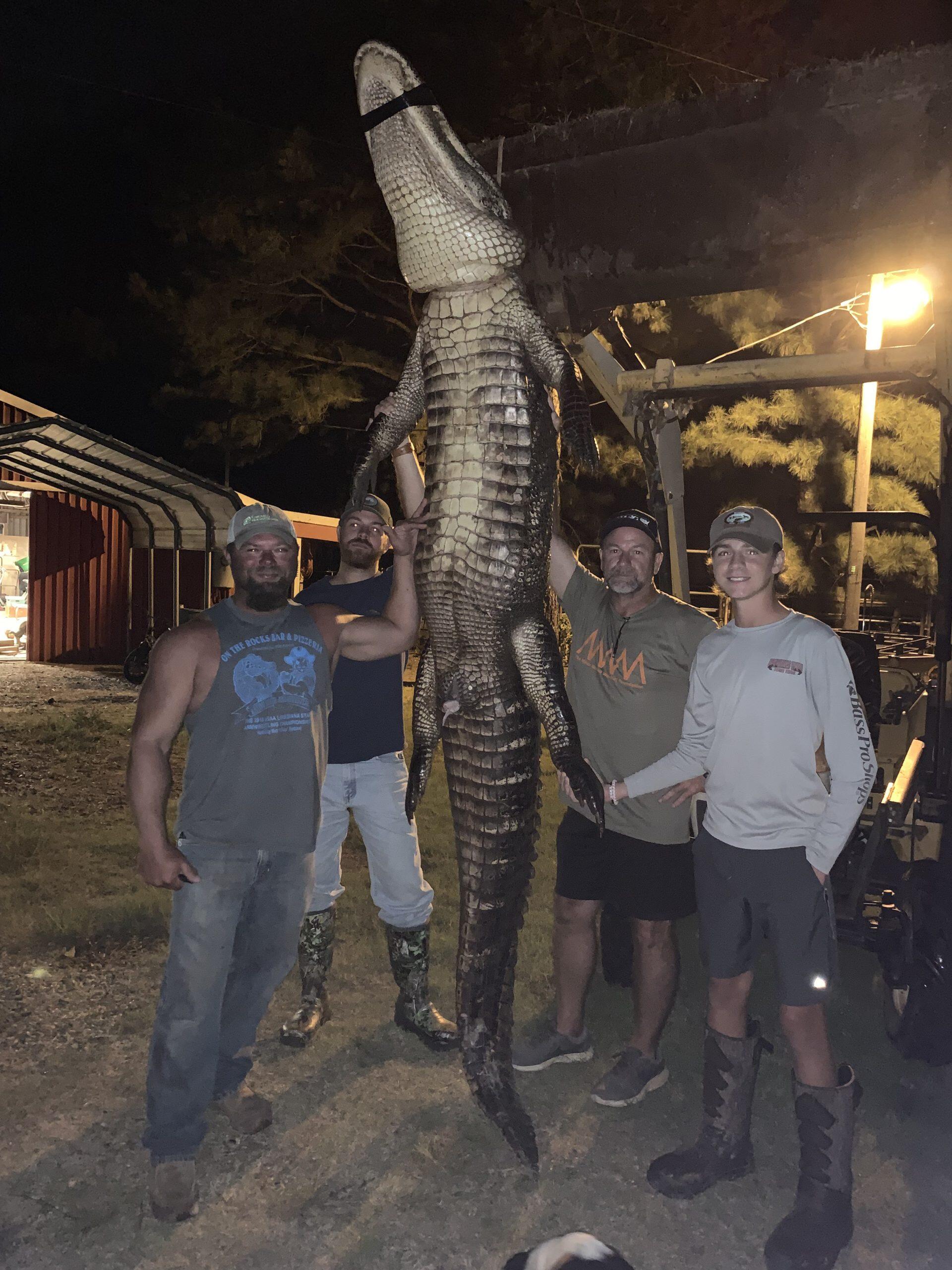 Local Men Snag 11 Foot Gator