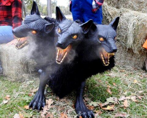 Scouts prepare for Halloween drive through at the City Park