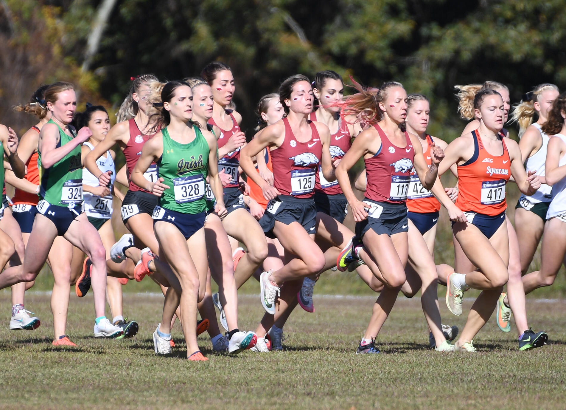 Arkansas places eighth in NCAA Championships with pair of All-Americans