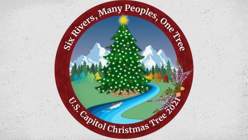 U.S. Capitol Christmas Tree to Visit Razorback Stadium This Saturday