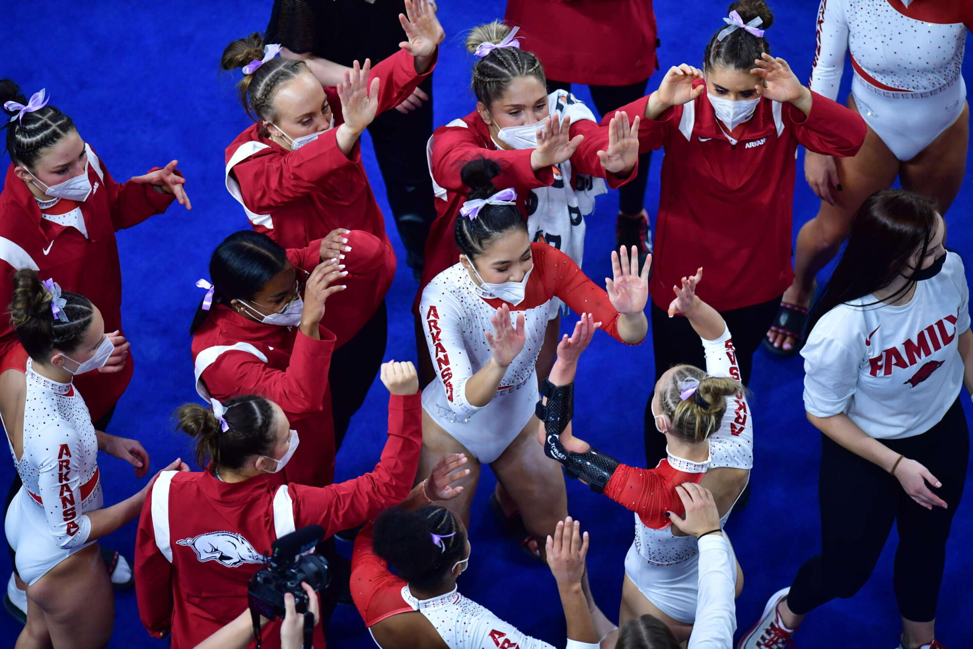 Gymbacks Set New Attendance Record at Night in the Palace Meet