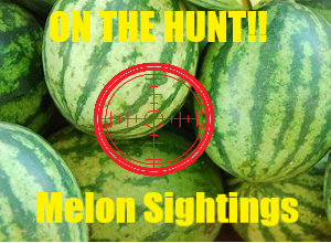 Join SWARK.Today In A Countdown To The Festival And Hunting Melons