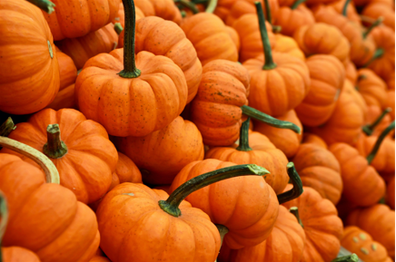 Emmet to celebrate first annual Fall Festival October 30 at Fireman's Park